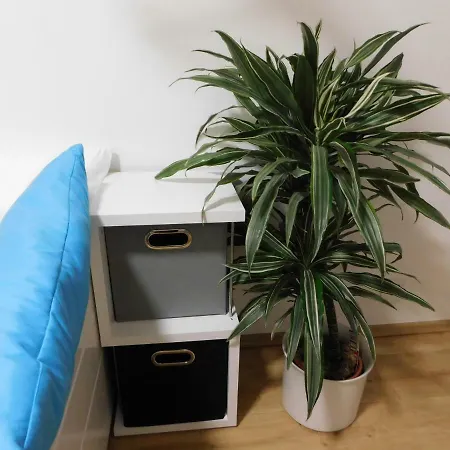 Alte Schreinerei Daire